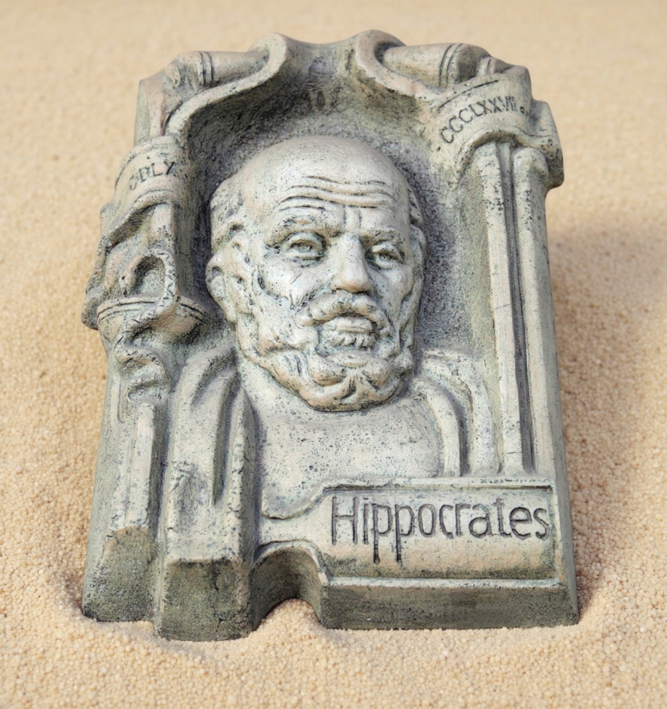 HIIPOCRATES BEROEPSGEHEIM