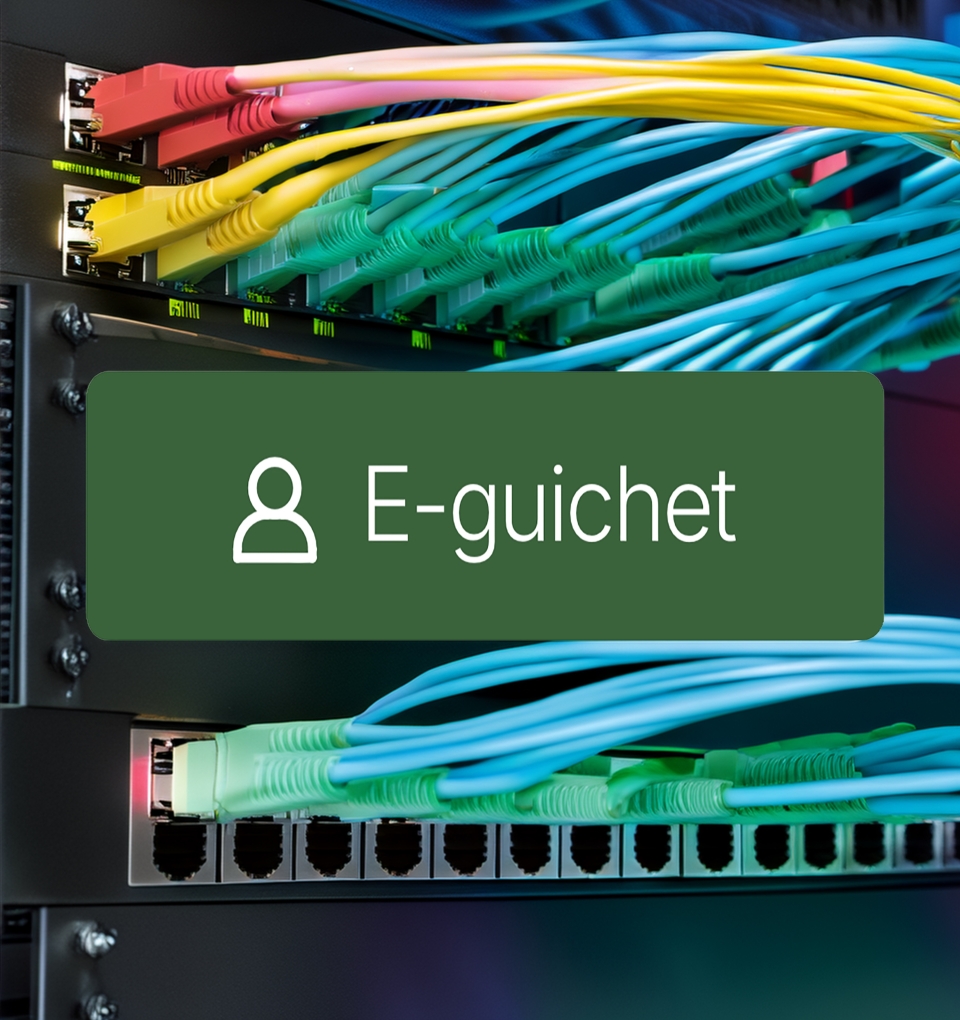 GIDS E-GUICHET